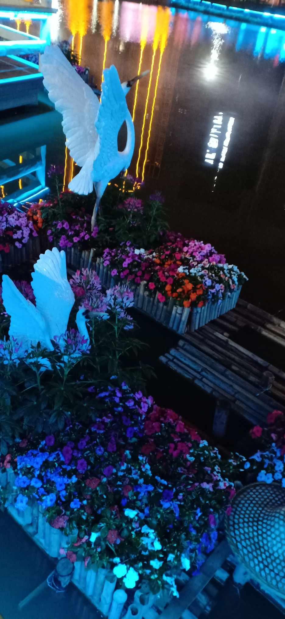 逃离龙的圣地